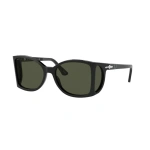 PO0005 95/31 - Imagen 1
