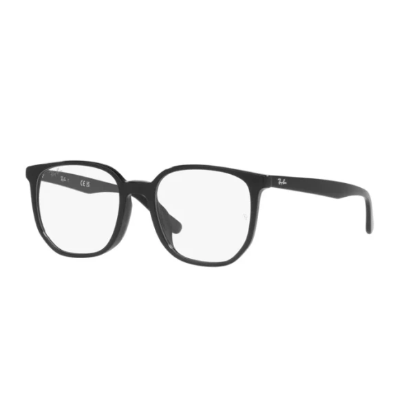 RX5411D_2000.webp