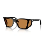 PO0009 95/53 - Imagen 1