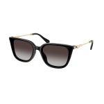 SK6054D 10018G - Imagen 1