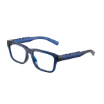 DX5008 3009 - Imagen 1