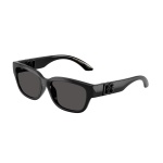 DX6009 501/87 - Imagen 1
