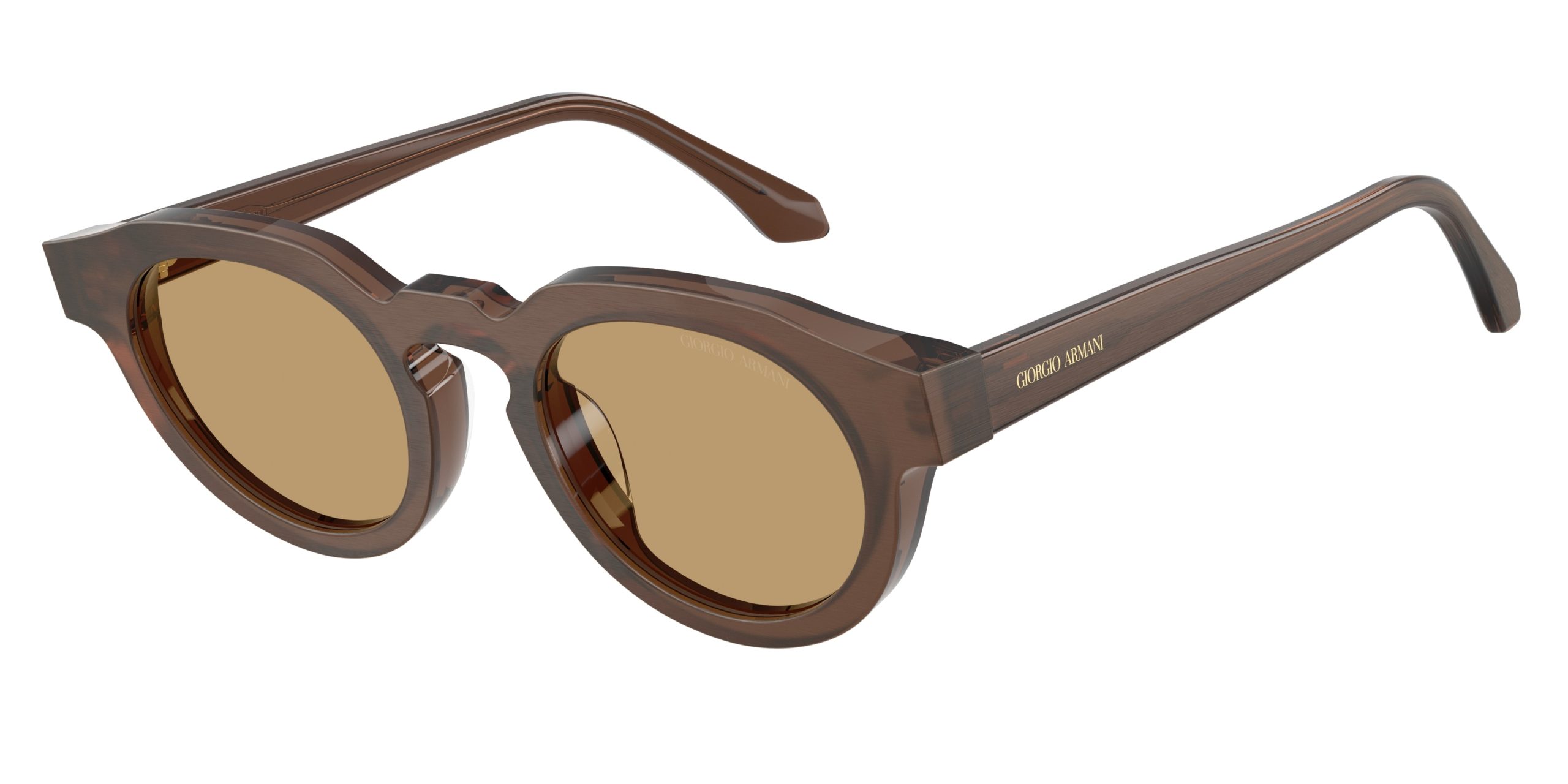 Vista del producto Giorgio Armani 0AR8255U, color 639473