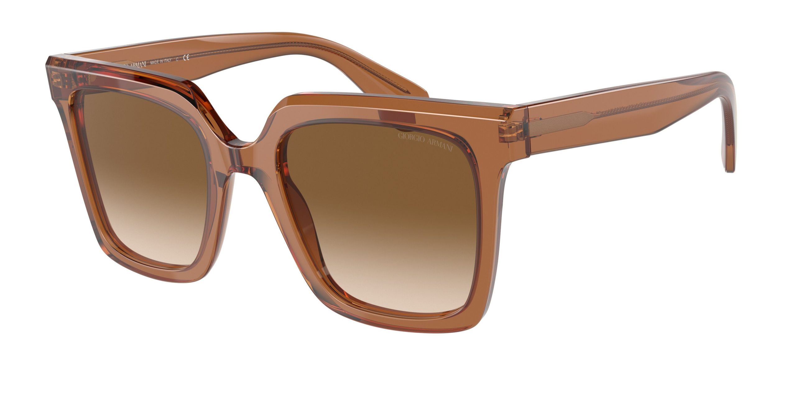 Vista del producto Giorgio Armani 0AR8156, color 593251