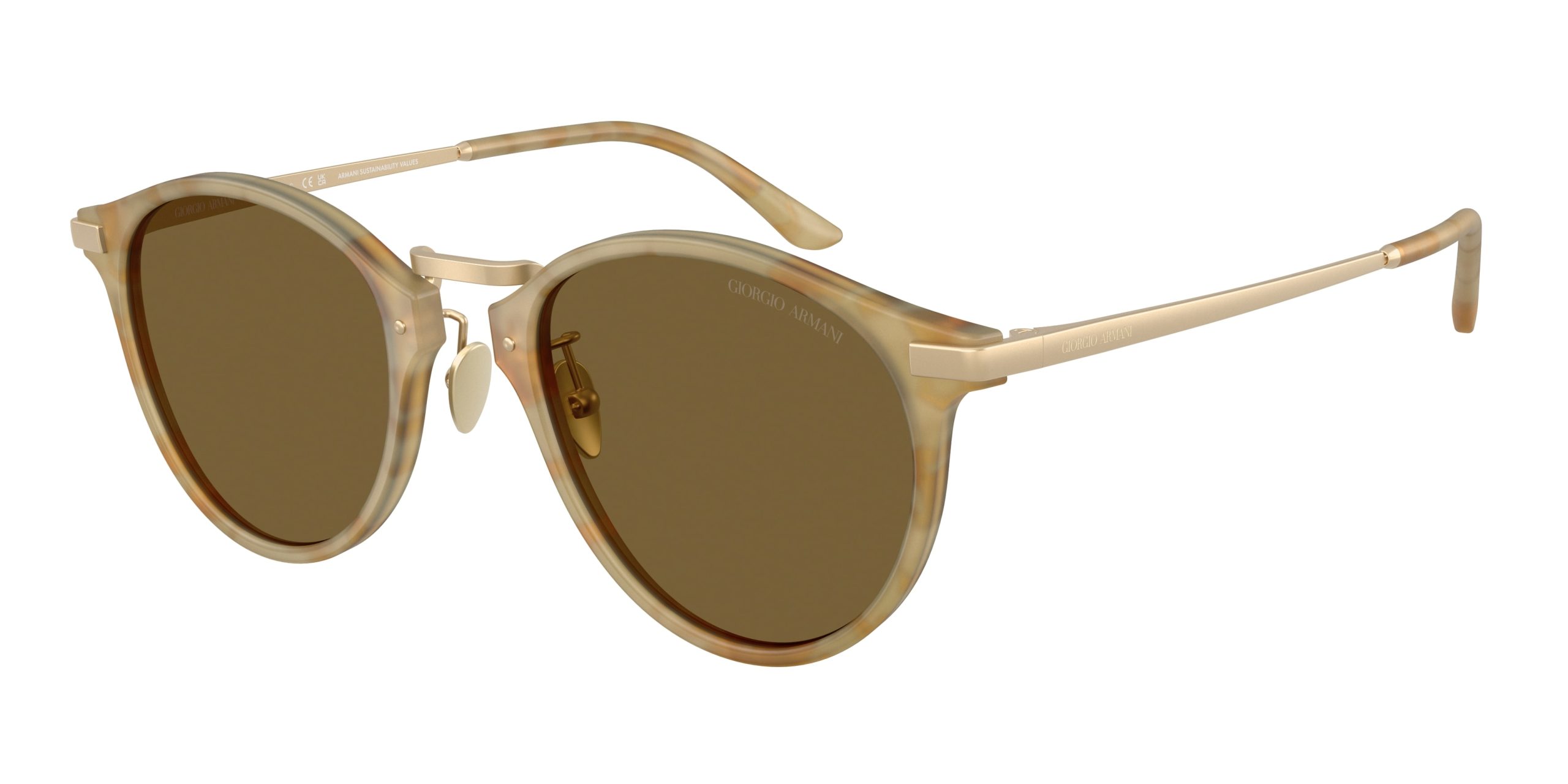 Vista del producto Giorgio Armani 0AR8250, color 630073