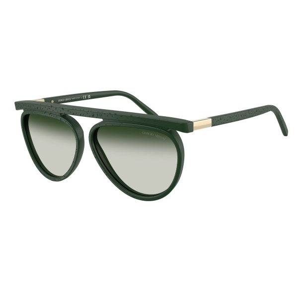 Vista del producto Giorgio Armani 0AR8262, color 64307Z