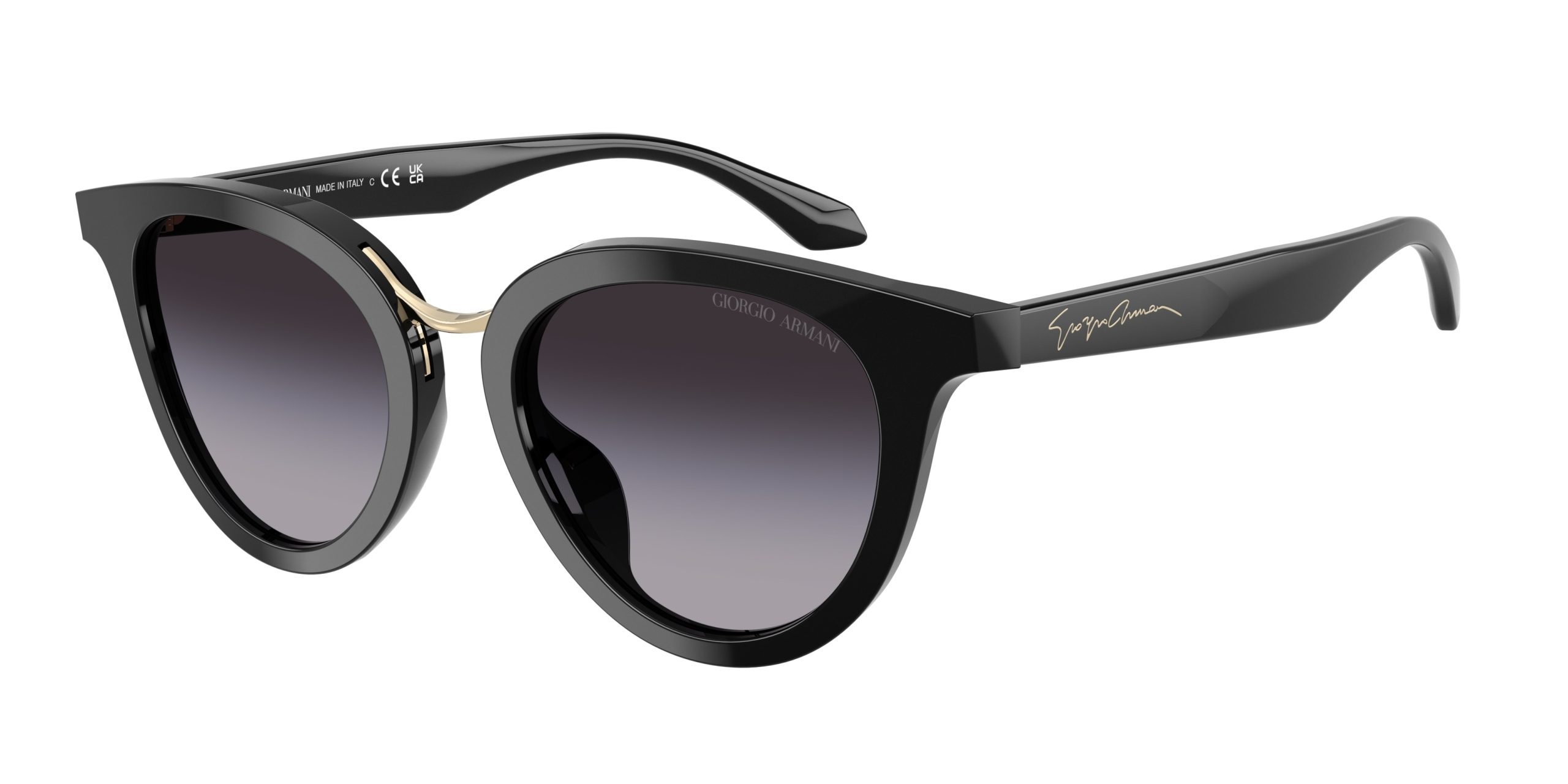 Vista del producto Giorgio Armani 0AR8252U, color 50178G