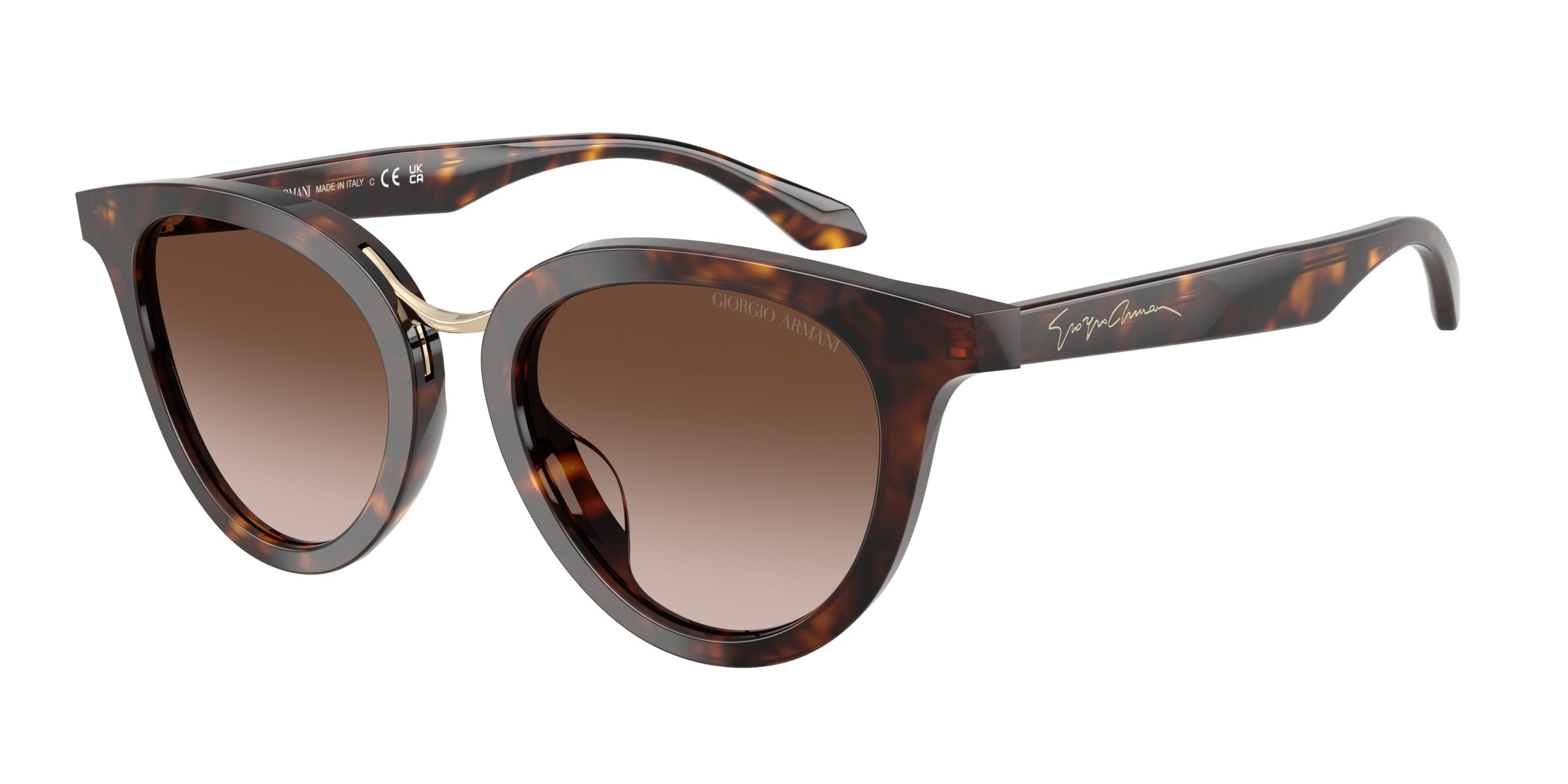 Vista del producto Giorgio Armani 0AR8252U, color 612413