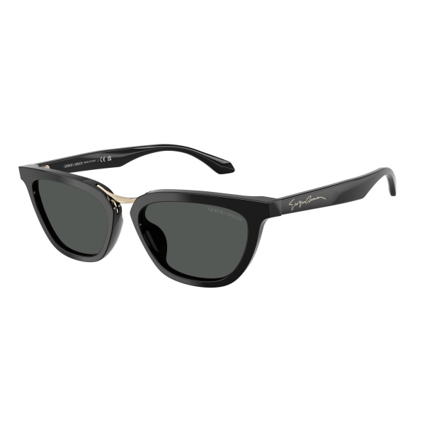 Vista del producto Giorgio Armani 0AR8253U, color 501787
