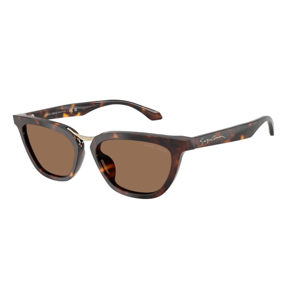 Vista del producto Giorgio Armani 0AR8253U, color 612473