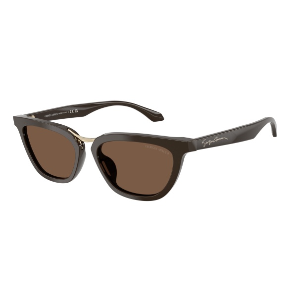 Vista del producto Giorgio Armani 0AR8253U, color 639873