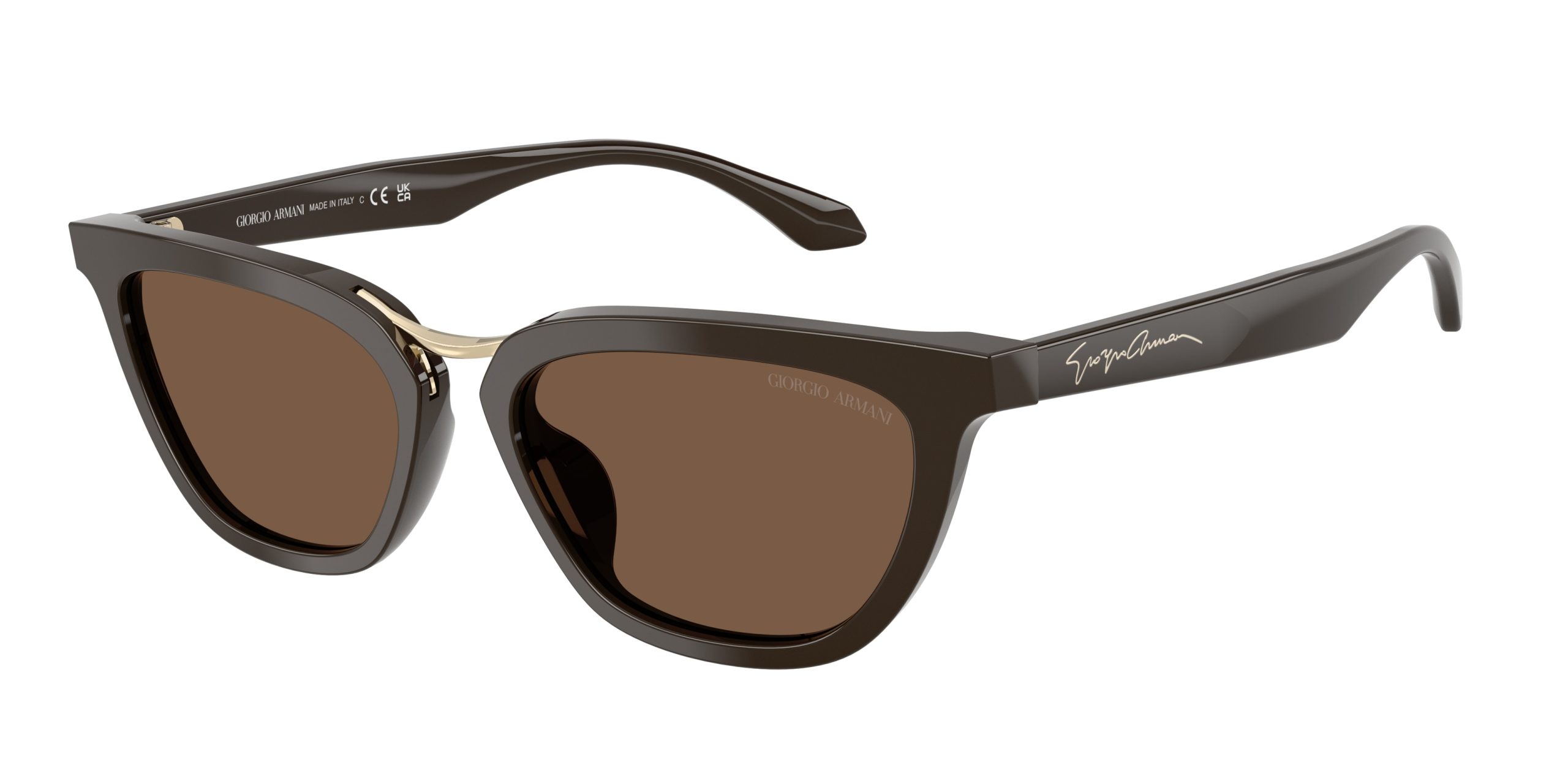 Vista del producto Giorgio Armani 0AR8253U, color 639873